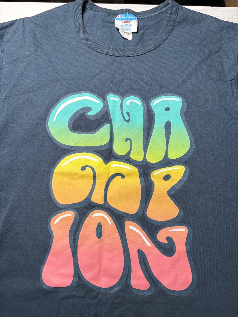 Champion Navy Short Sleeve Tee with Rainbow Gradient 'Champion' Graphic